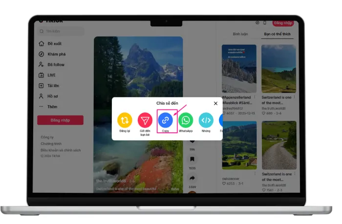 Sao chép đường link video TikTok